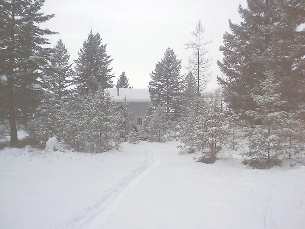 Cabin at Christmas